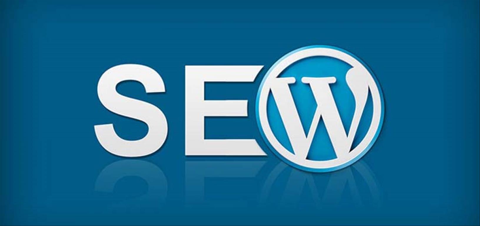 SEO Uyumlu Wordpress Temaları: Soru ve Cevaplar
